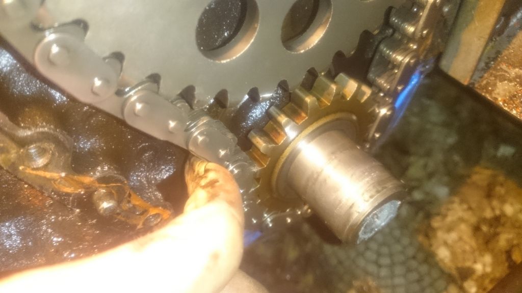 Visually determine if a timing chain is bad Team Chevelle